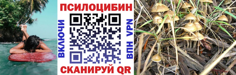 Купить  Химки  Псилоцибиновые грибы ЛСД 